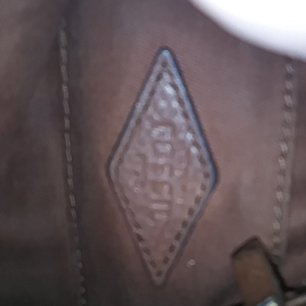Fossil purse